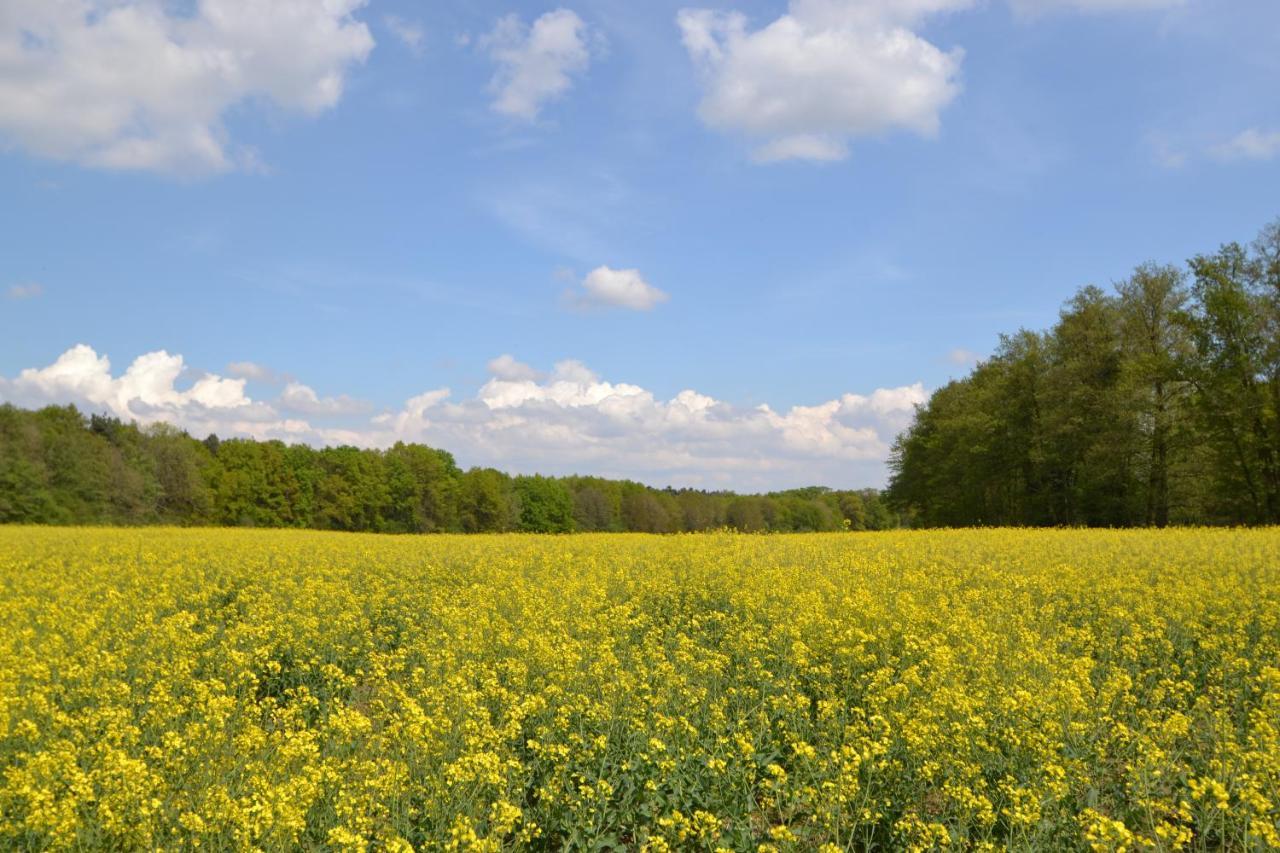 Zauber Der Pfalz Romerberg ภายนอก รูปภาพ